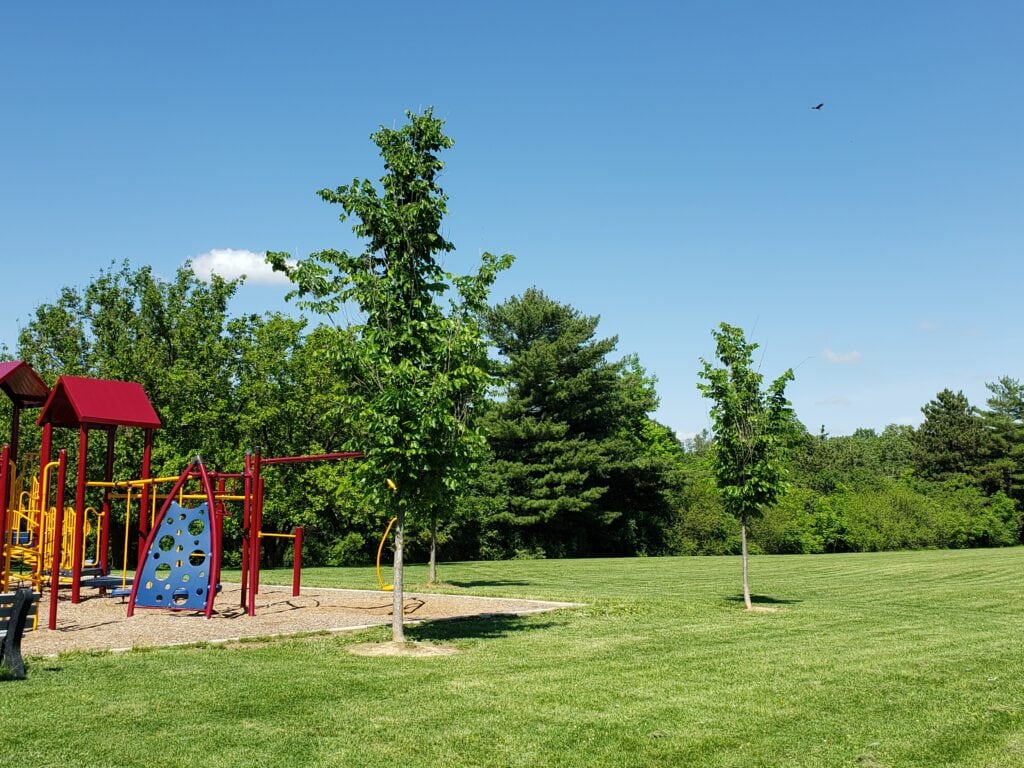 Wines Elementary Ann Arbor Public Schools Bond Ann Arbor Public